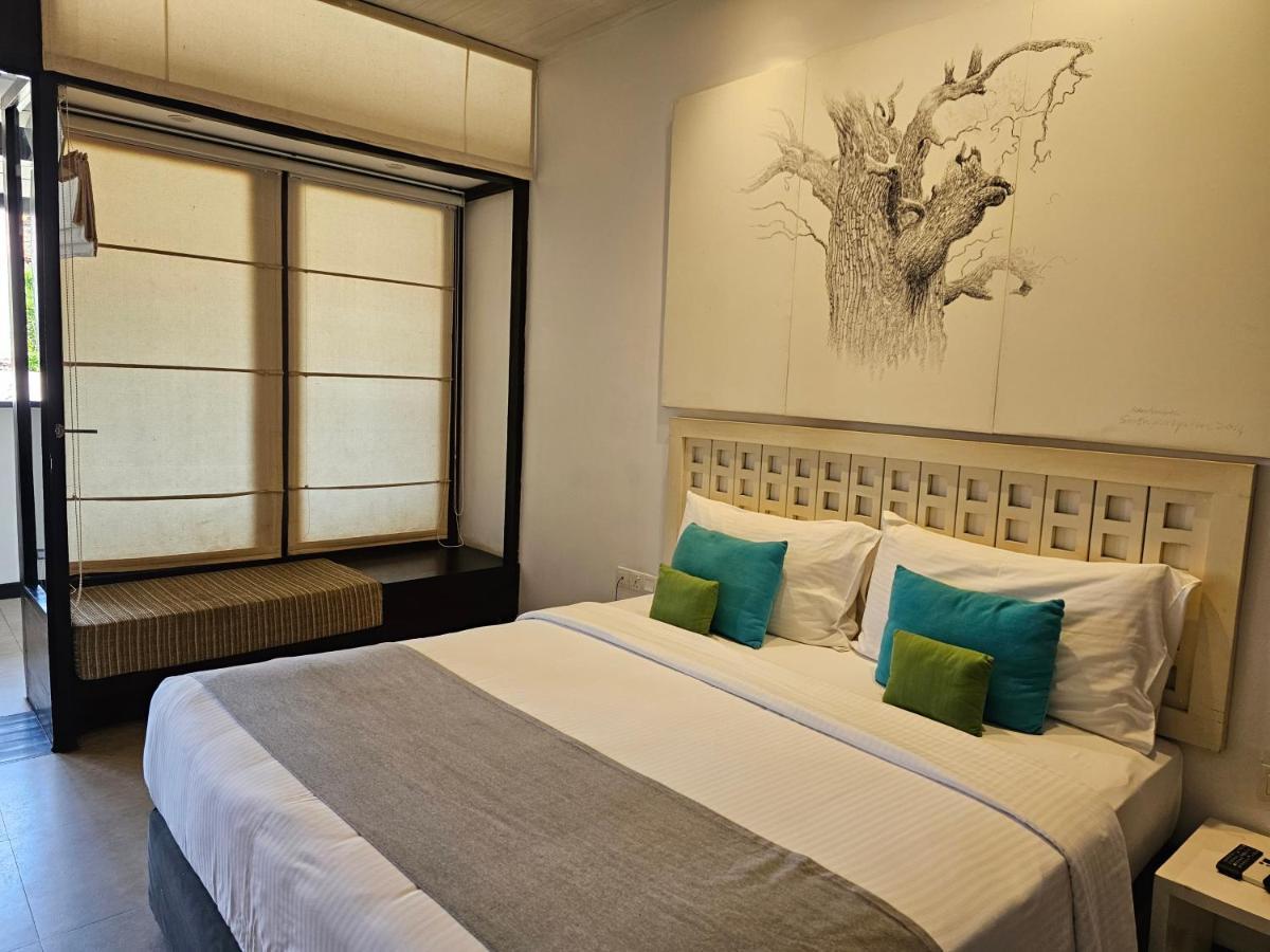 City Beds Negombo Eksteriør bilde
